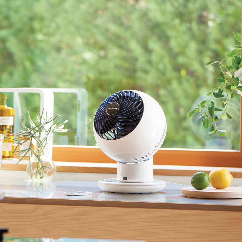 Amazon.co.jp: Smart Home: アイリスの夏物家電